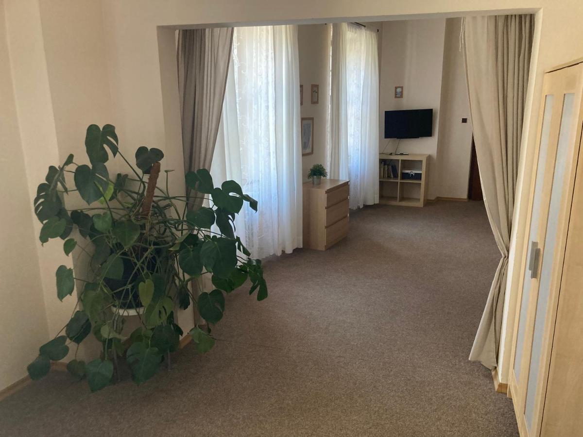 Penzion A Restaurace Modra Ruze طابور المظهر الخارجي الصورة