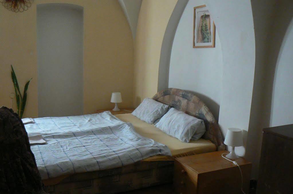 Penzion A Restaurace Modra Ruze طابور المظهر الخارجي الصورة